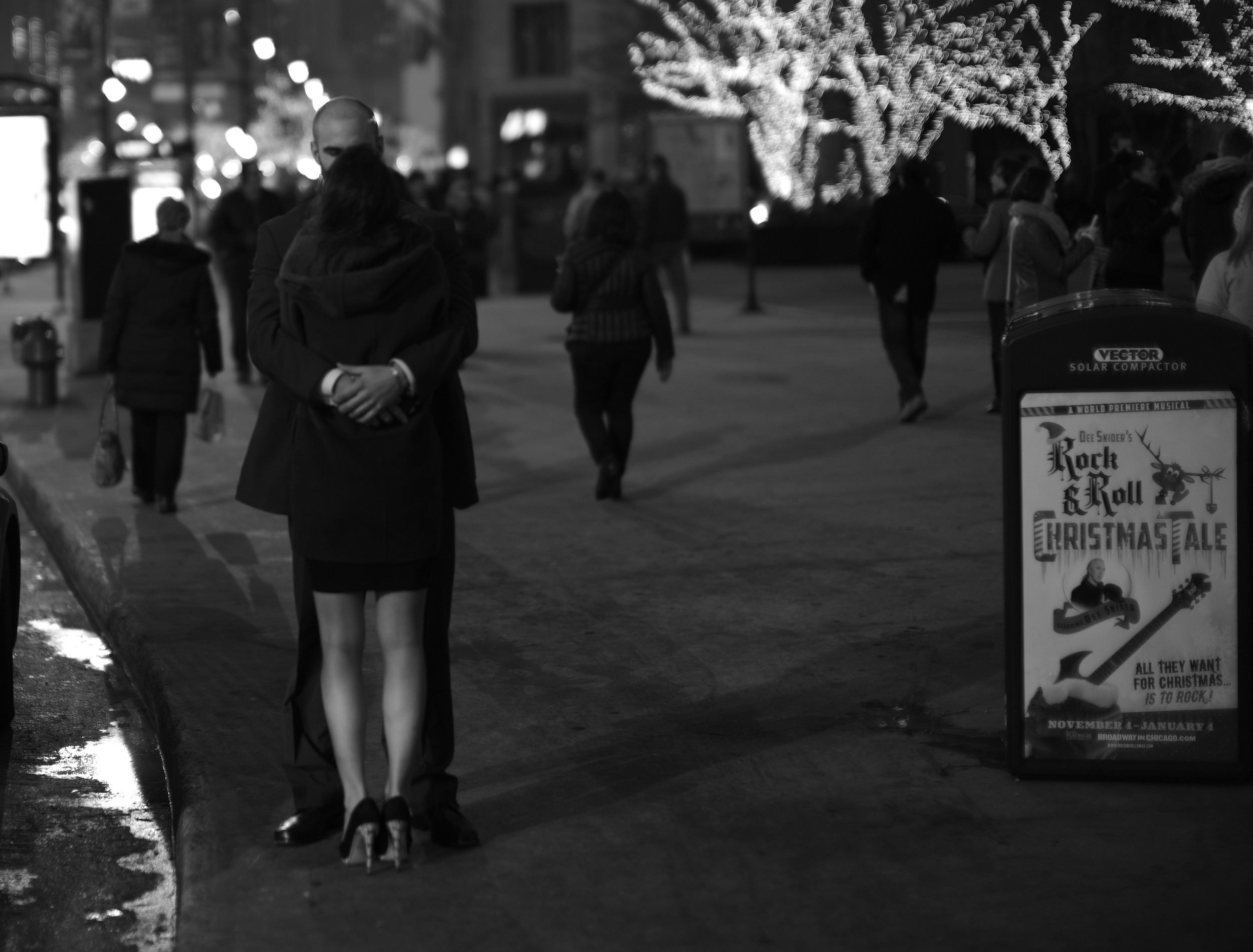 L1001145_Chicago 2014.JPG