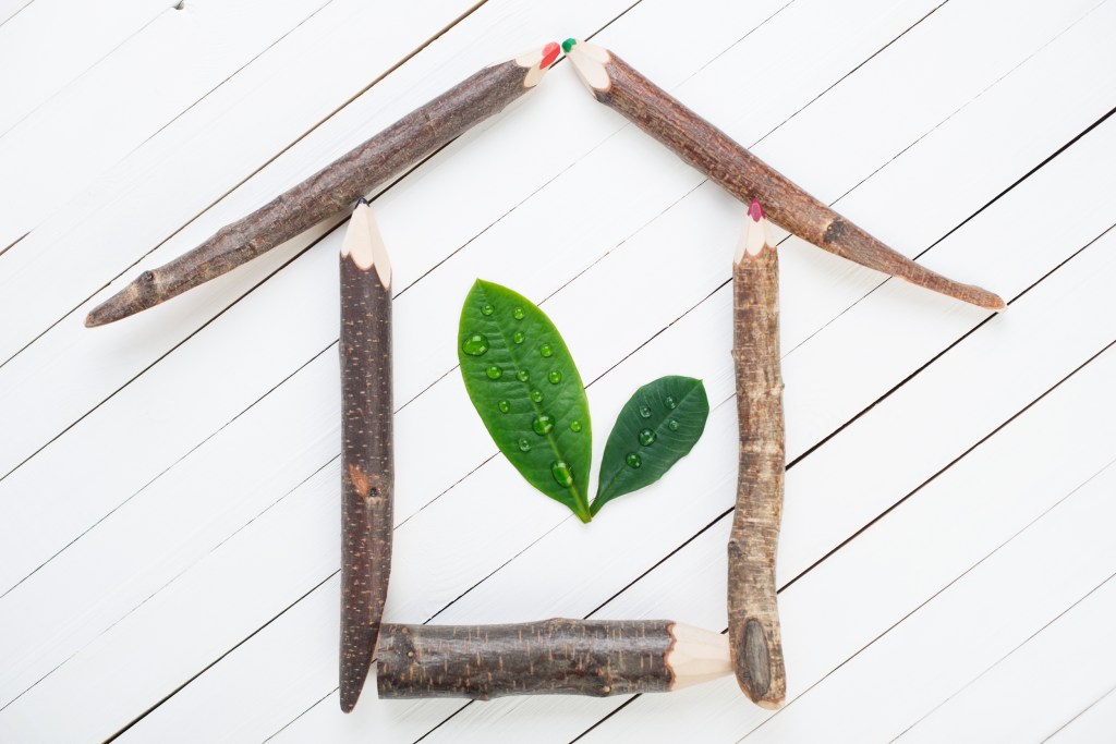 Indoor Pollution—our worse enemy