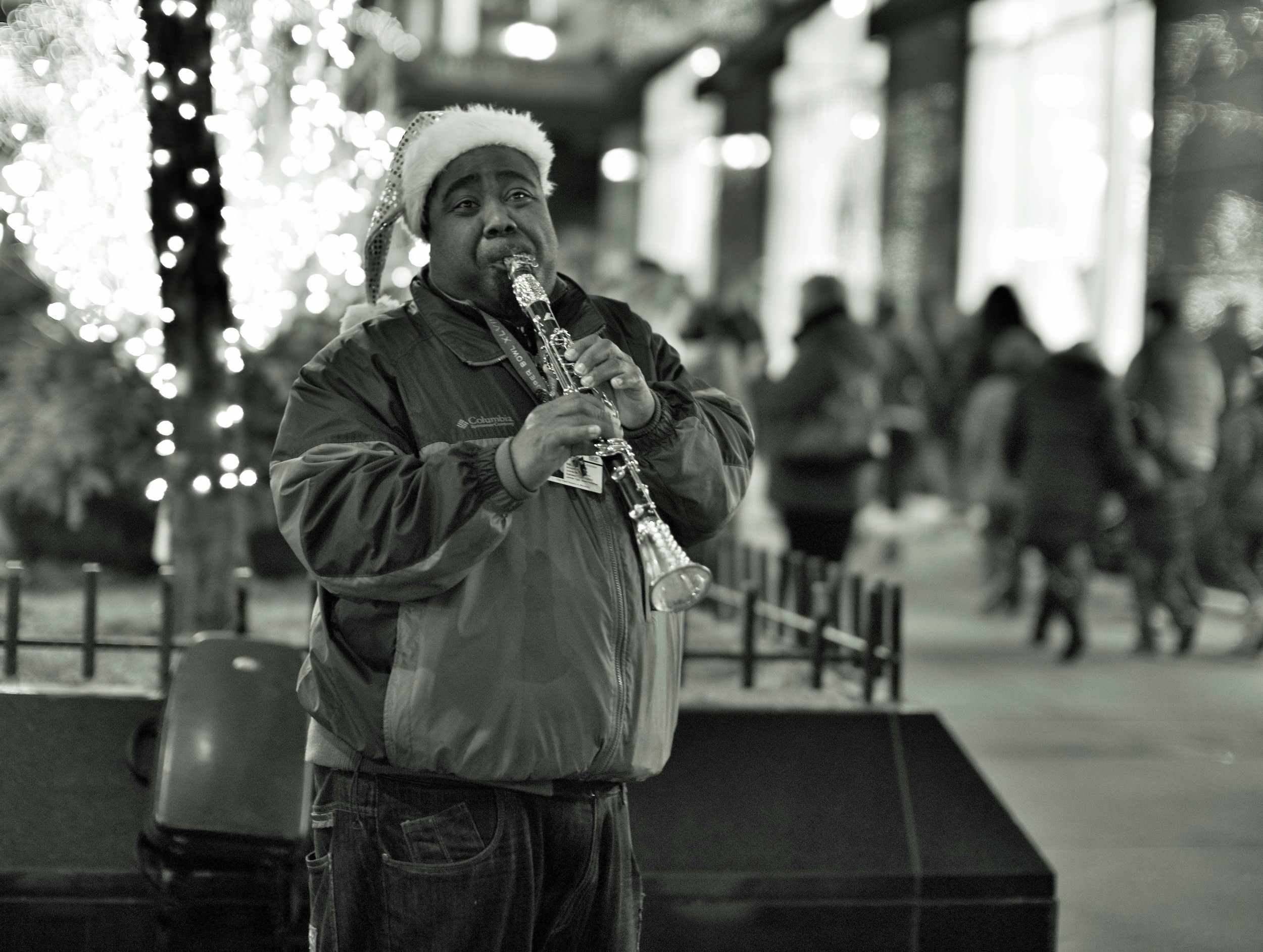 L1001300_Chicago 2014.JPG